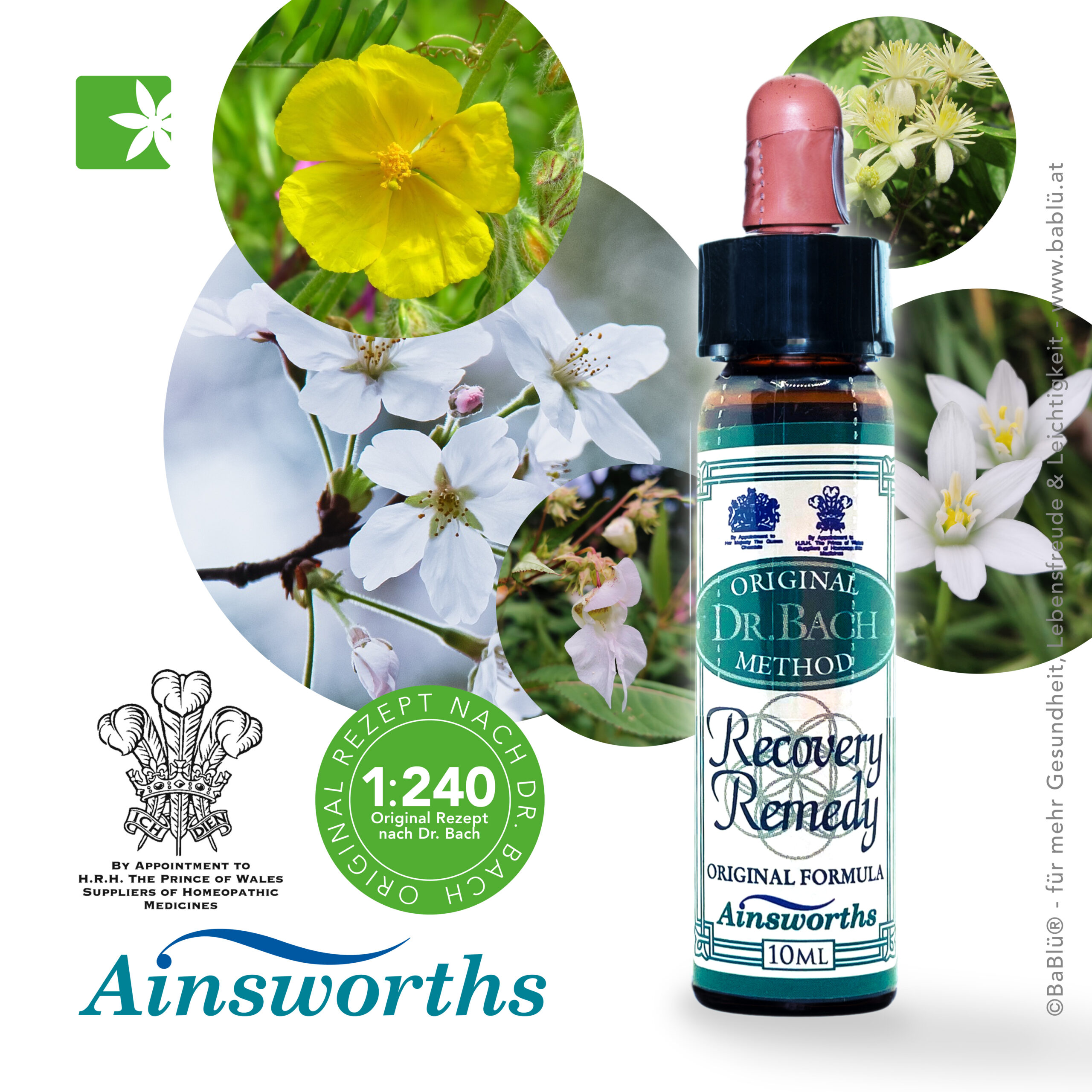 RecoveryRemedy_Stockbottle