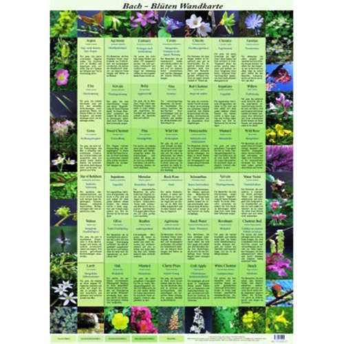 Bachbluetenplakat-Schienen Bachblütenschienenplakat - groß A1 Dietmar Krämer