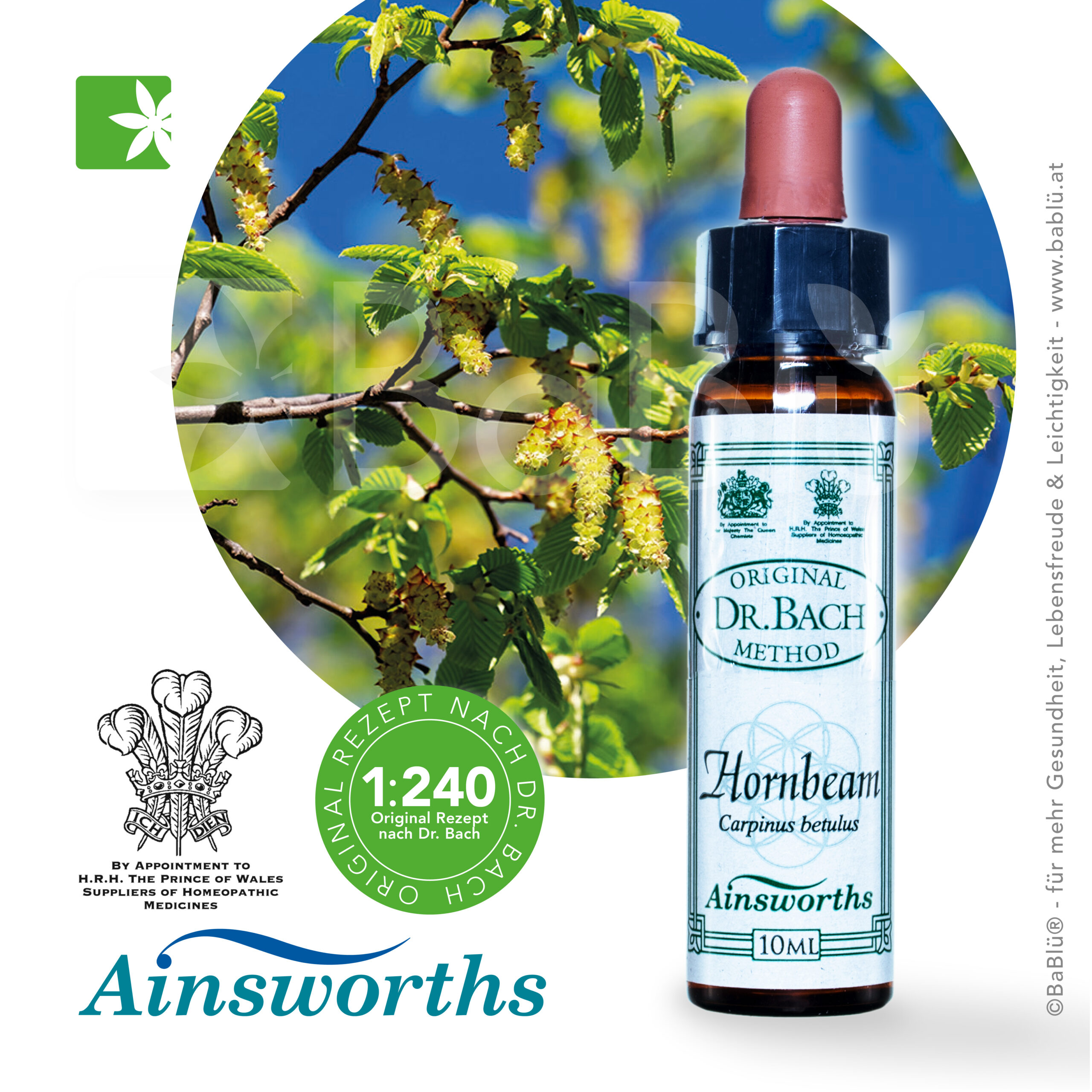 Hornbeam Bachblüte Hornbeam Bachblüte