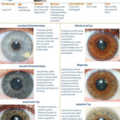 Konstitution-Disposition-Diathese Übersichtskarte