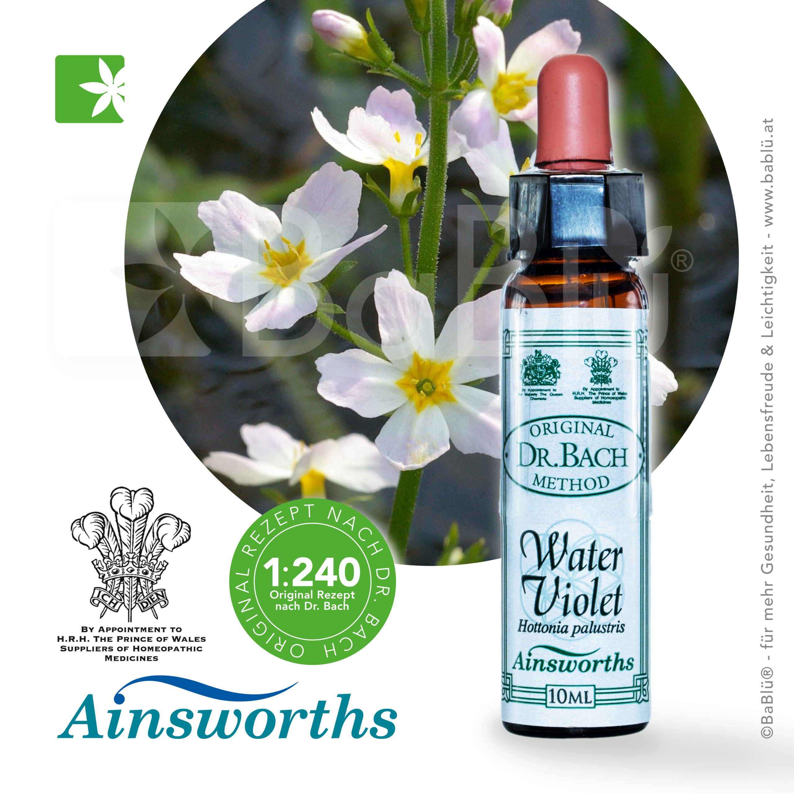 Water Violet Bachblüten Water Violet Bachblüten