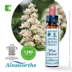 White Chestnut Bachblüte