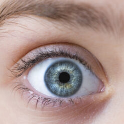 Iridologie - Irisdiagnose