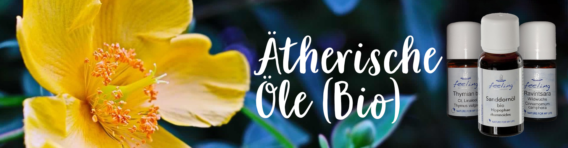 feeling - Ätherische Öle (Bio)