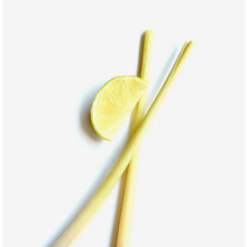 Lemongrassöl - Innometics