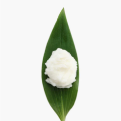 Sheabutter, bio raff - Innometics